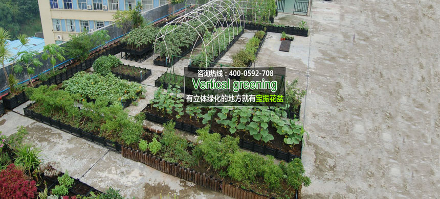 陽臺(tái)綠化