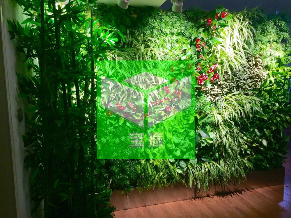垂直綠化植物墻，的三大核心價(jià)值