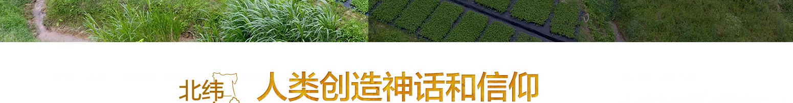 苗盆寶貝詳情_(kāi)04.jpg